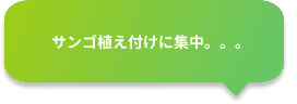 吹き出し4